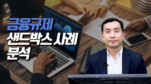 금융규제 샌드박스 사례 분석